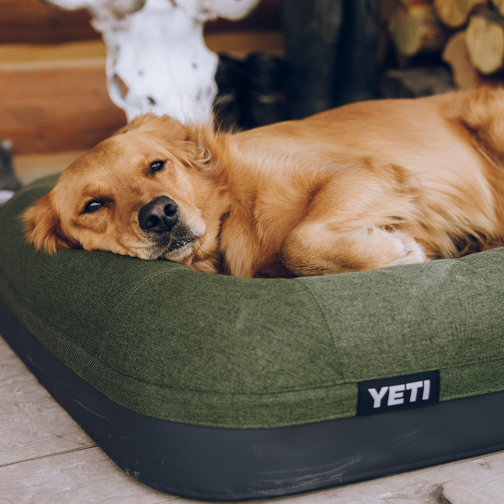 Happy dog on a YETI Boomer Dog Bed
