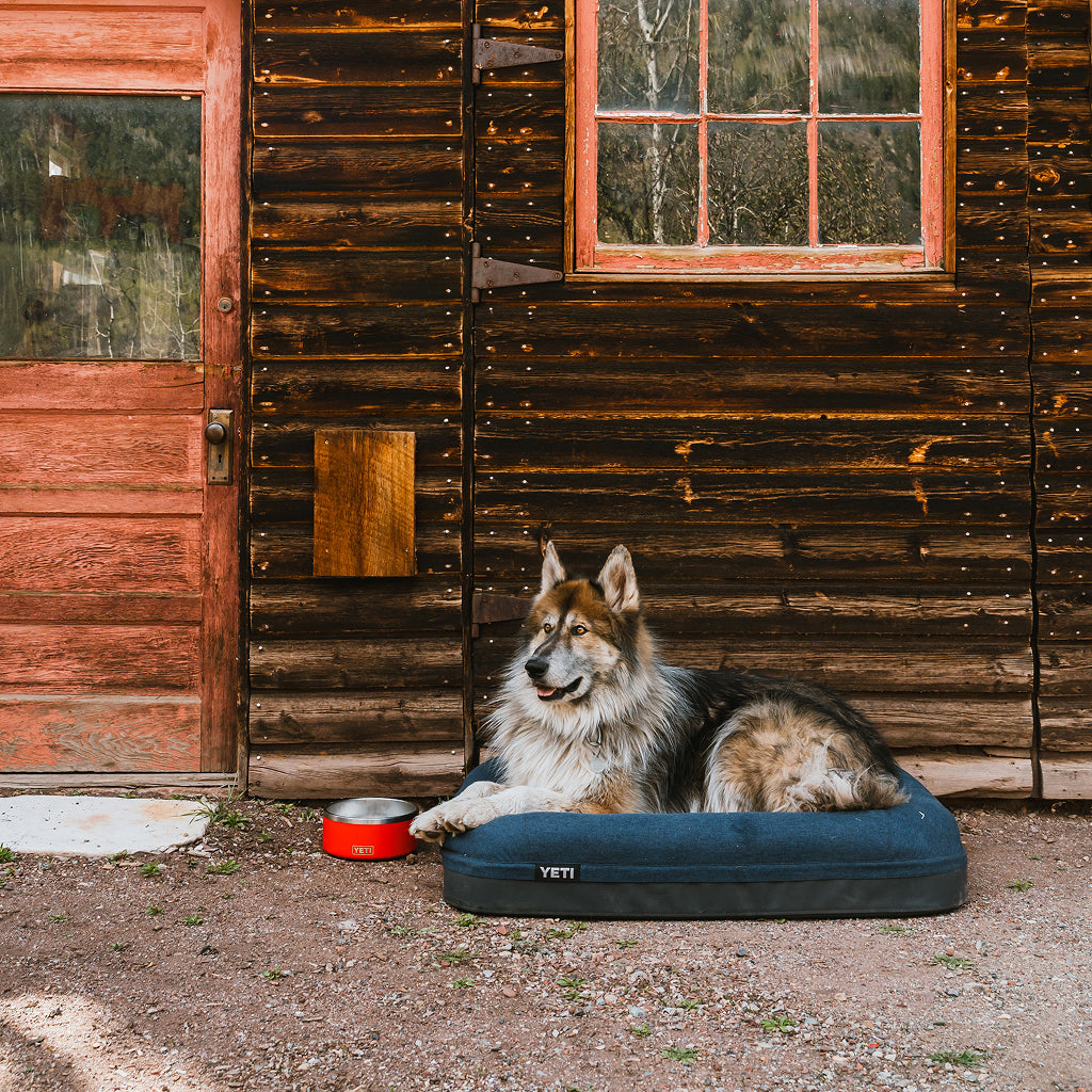 Big dog lying on a YETI Boomer Dog Bed next to a YETI Boomer Dog Bowl