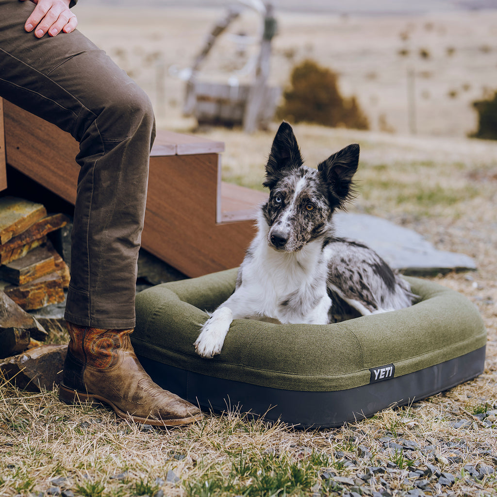 Small dog in a YETI Boomer Dog Bed