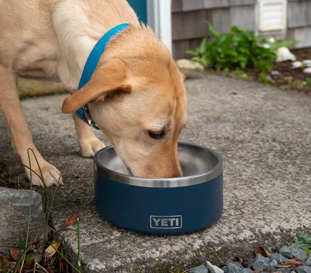 Yeti boomer dog bowl amazon on sale